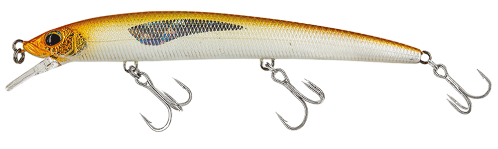 Molix Finder Jerk Evo 110