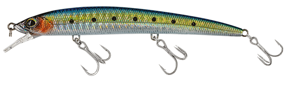 Molix Finder Jerk Evo 110