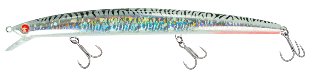 Seaspin Mommotti 180 SK