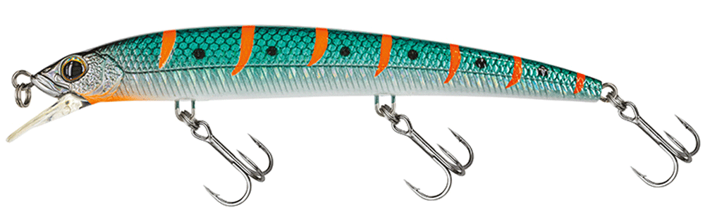 Molix Finder Jerk Evo 125