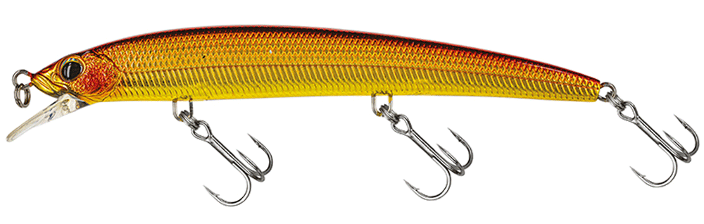 Molix Finder Jerk Evo 125