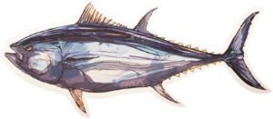 BKK FISHING HOOKS Omaggio 75 eu - BKK Sticker