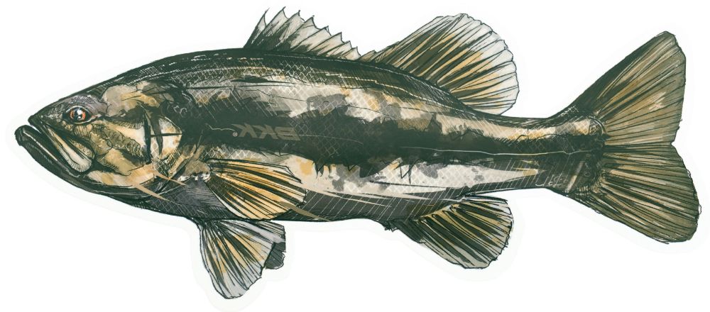 BKK FISHING HOOKS Omaggio 75 eu - BKK Sticker