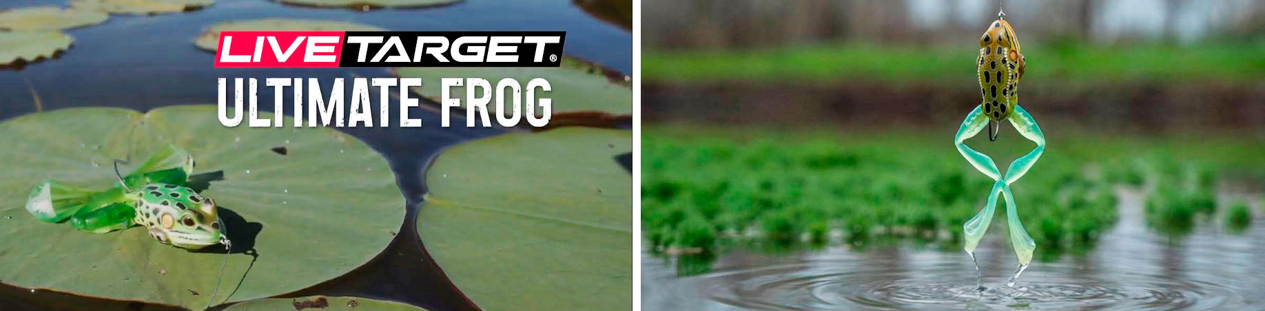 Immagine del prodotto Livetarget Ultimate Frog Diver Bait
