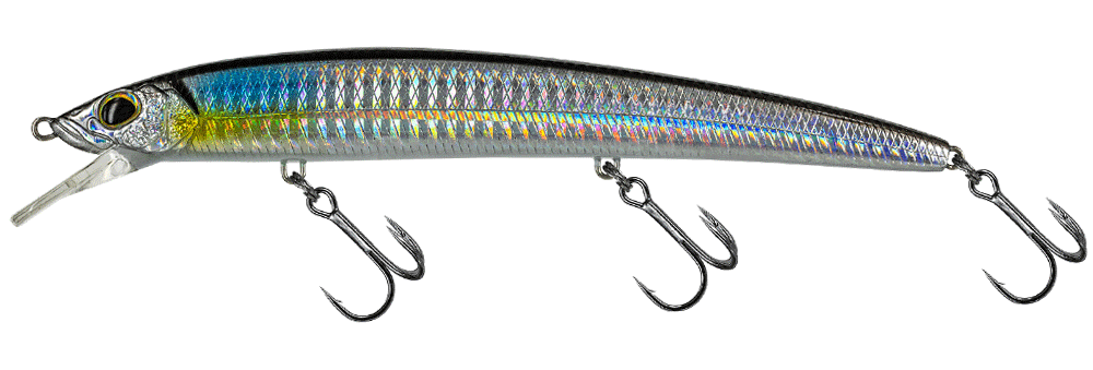 Molix Finder Jerk Evo 150 SS