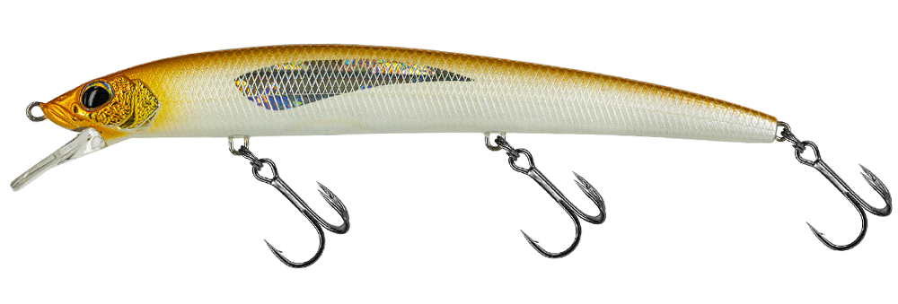 Molix Finder Jerk Evo 150 SS