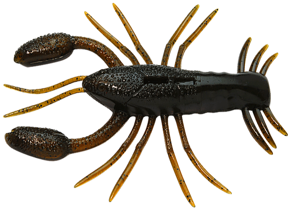 Raid Japan Zariganist 