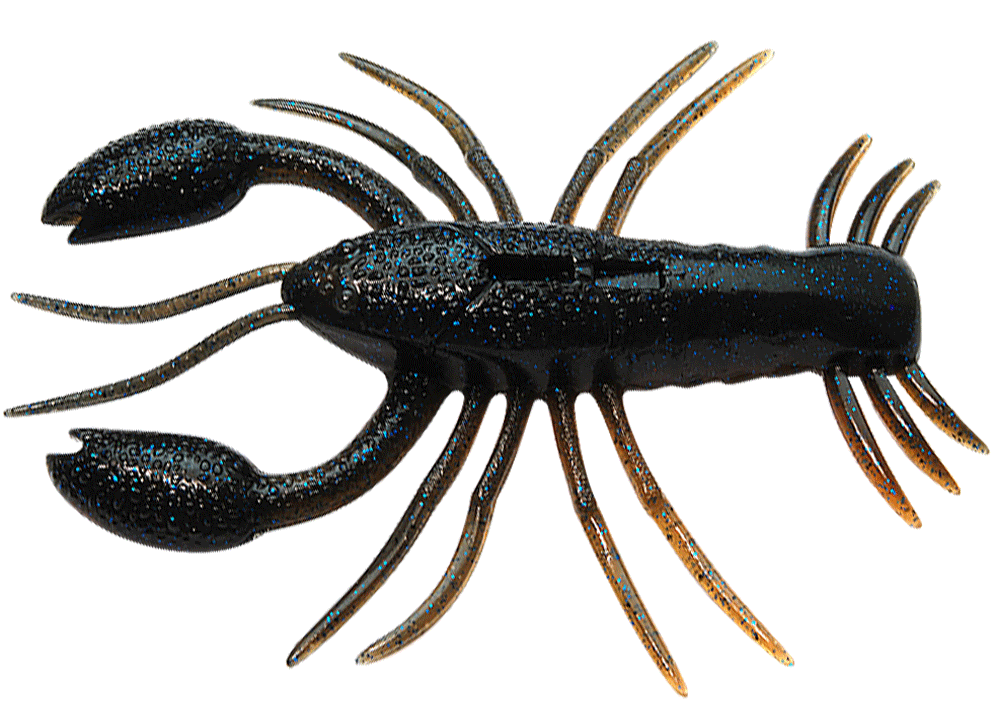 Raid Japan Zariganist 