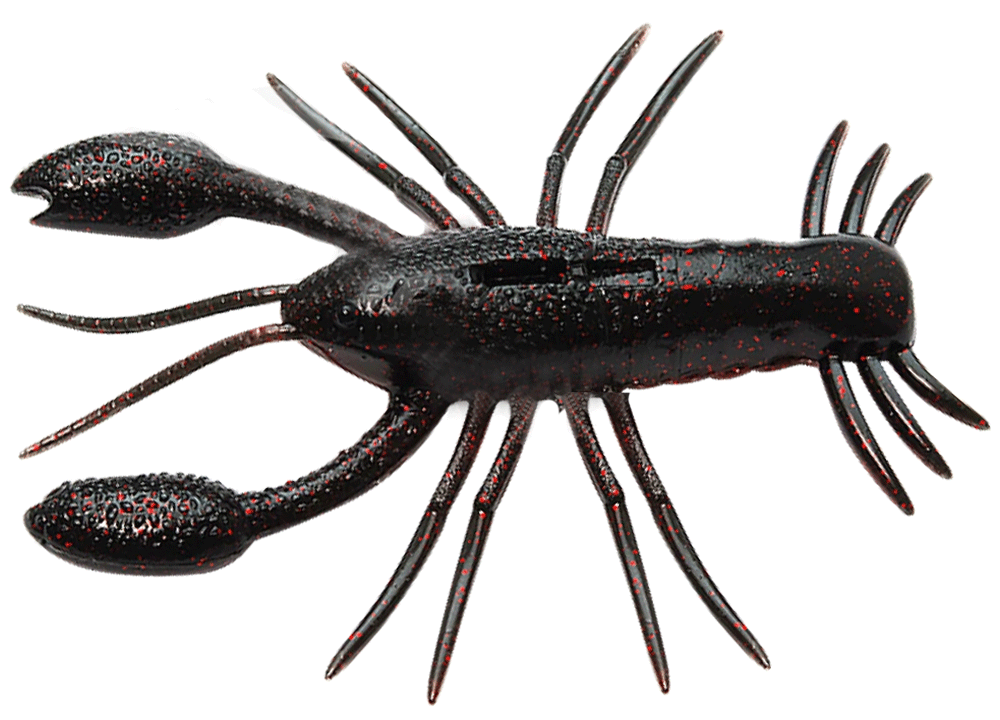 Raid Japan Zariganist 