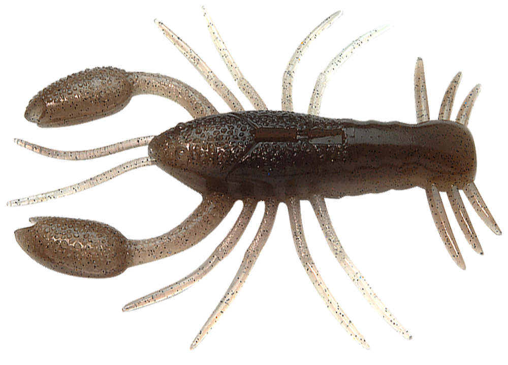 Raid Japan Zariganist 