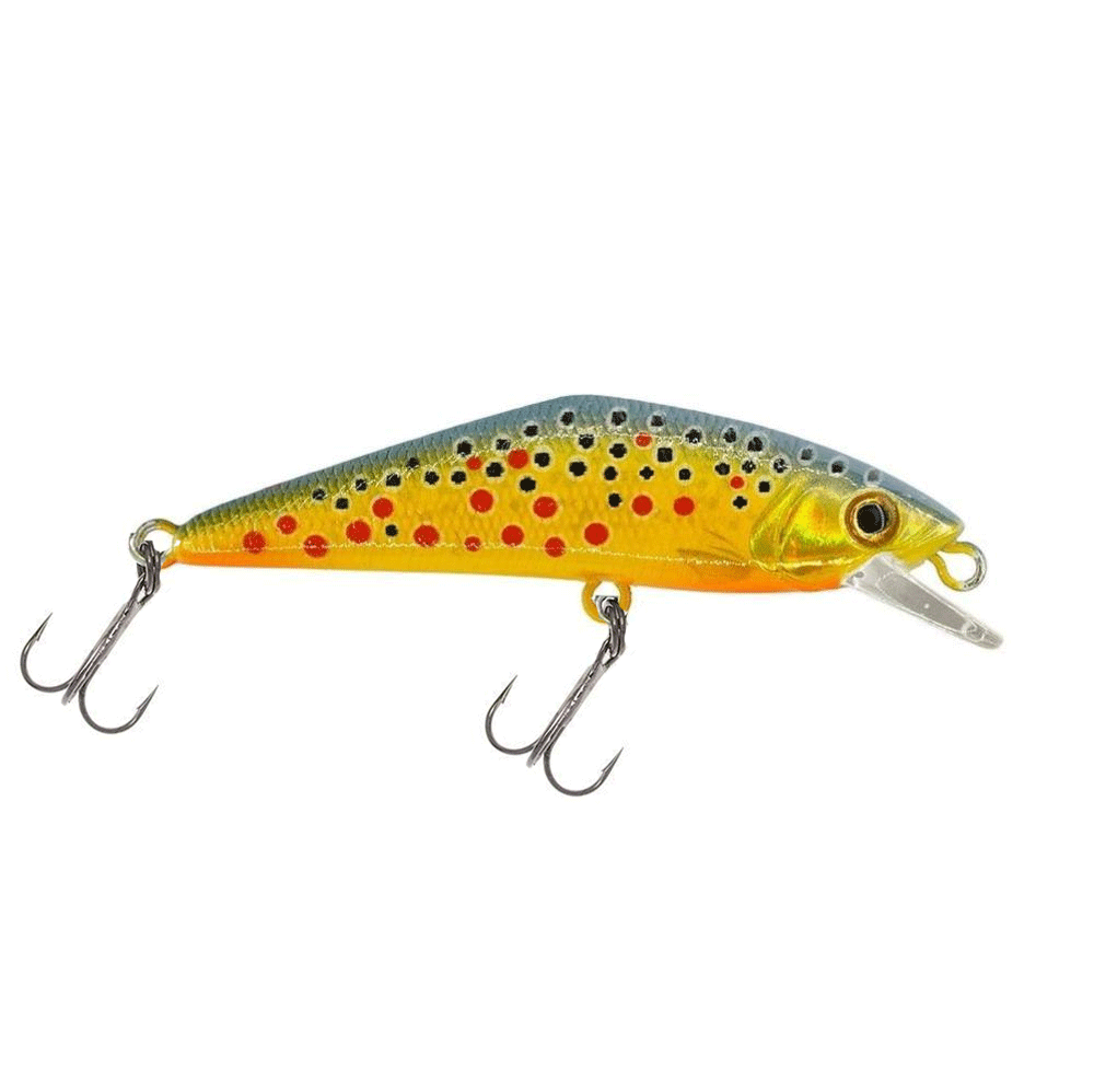 Smith LTD D-Contact #T5 Smith LTD.