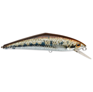 Smith LTD D-Contact #V4 Smith LTD.