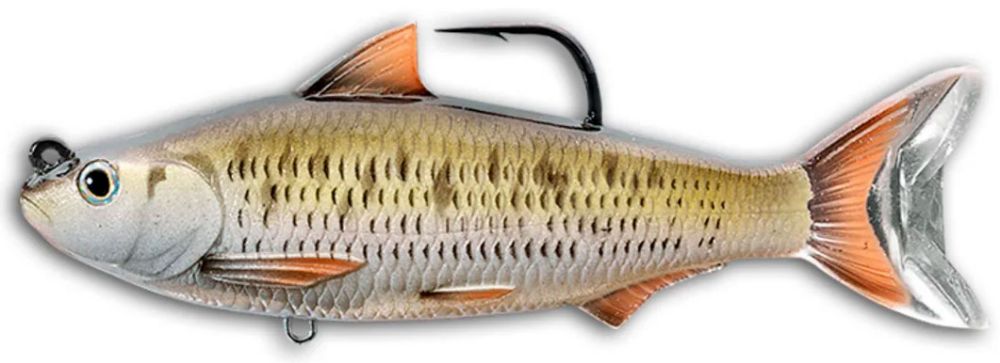 Livetarget Common Shiner Silver / Bronze Livetarget