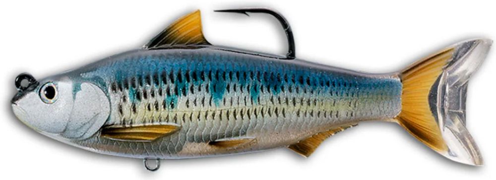 Livetarget Common Shiner