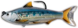 Livetarget Common Shiner Silver / Blue Livetarget