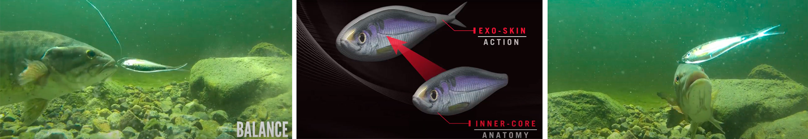 Immagine del prodotto Livetarget Skip Shad