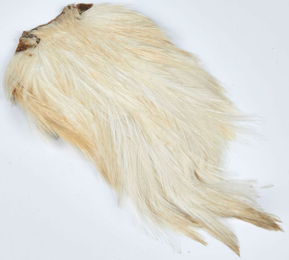 JMC Coda di Gallo Indiano Top Grade