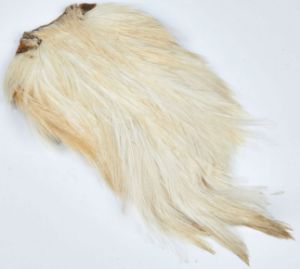 JMC Coda di Gallo Indiano Top Grade