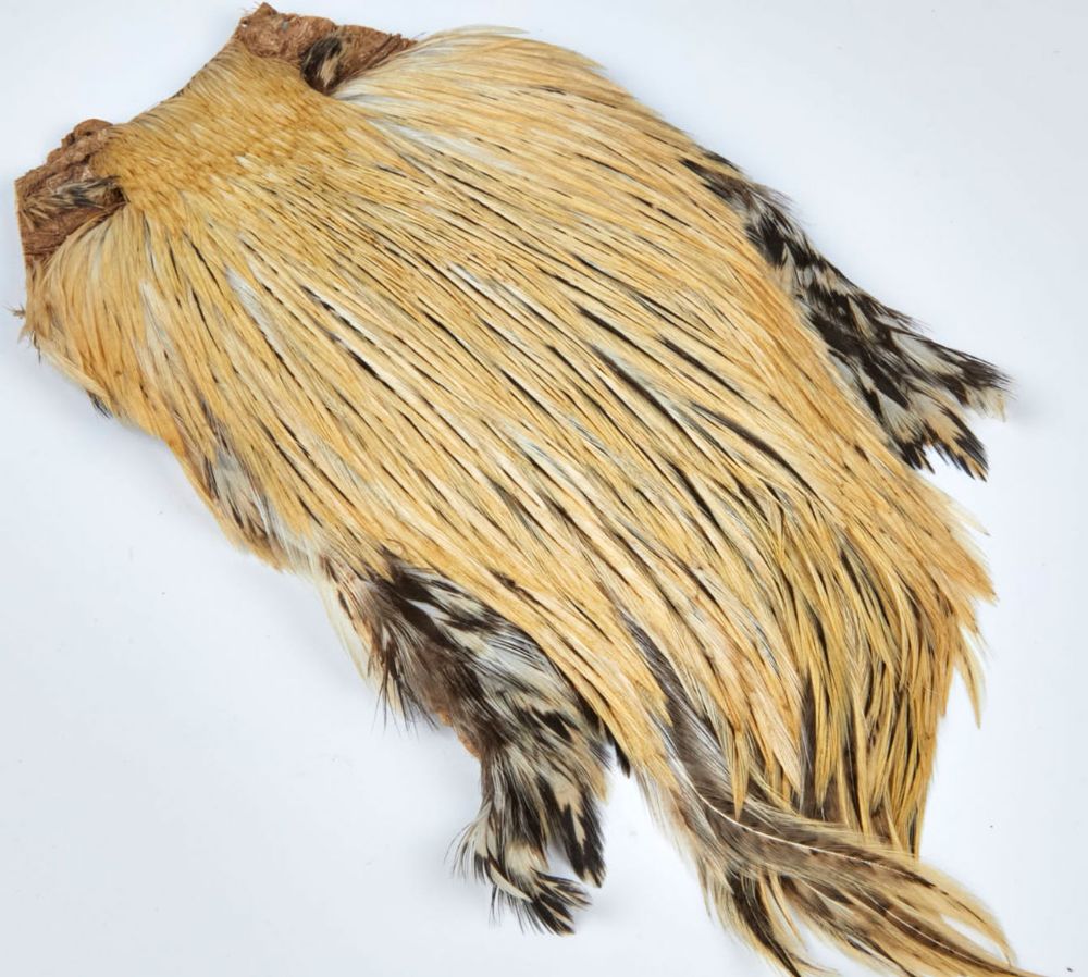 JMC Coda di Gallo Indiano Top Grade