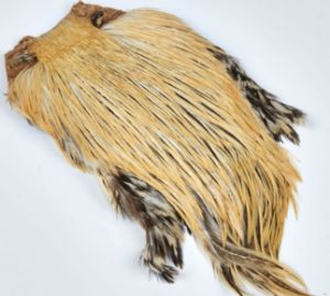 JMC Coda di Gallo Indiano Top Grade