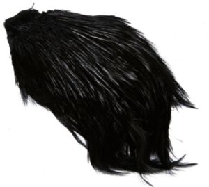 JMC Coda di Gallo Indiano Top Grade