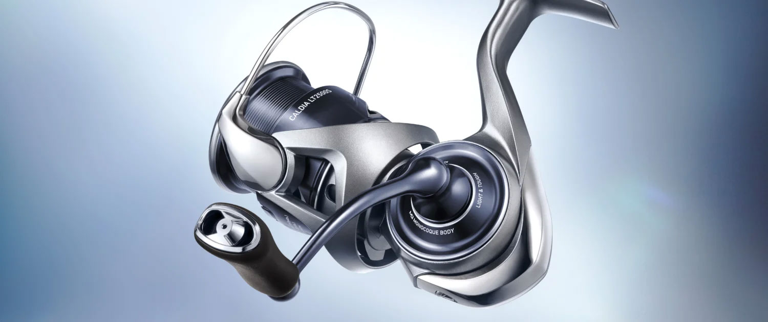 Immagine del prodotto Daiwa Caldia FC LT 25 Spinning