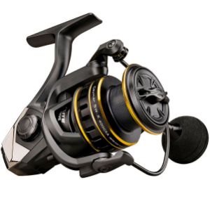 Immagine di Okuma Ceymar SW-X spinning