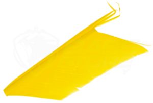 Immagine di JMC Sostituto del Condor