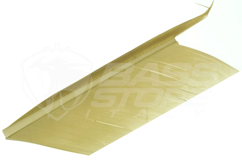 Immagine di JMC Sostituto del Condor