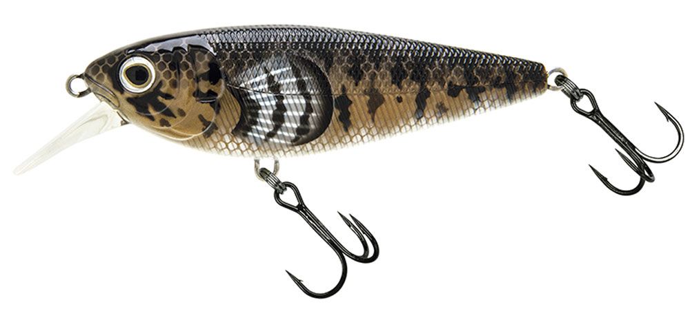 Molix Brugas R #225 Ghiozzo Molix