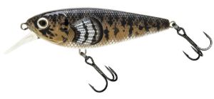 Molix Brugas R #225 Ghiozzo Molix