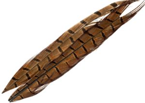 Immagine di JMC Penne di Coda di Fagiano