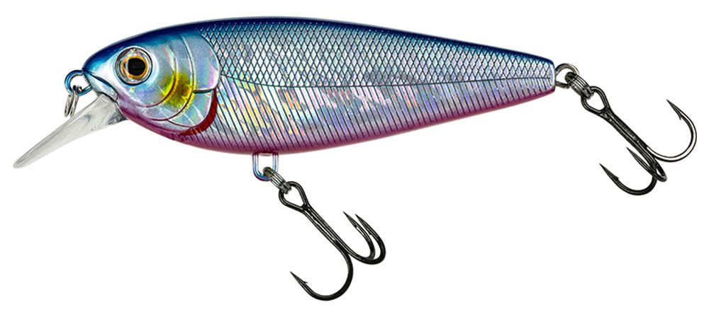 Bild von Molix Brugas R