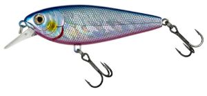 Molix Brugas R #249 Spring Sarda Molix