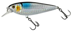 Molix Brugas R #93 Mx Holo Shad Molix