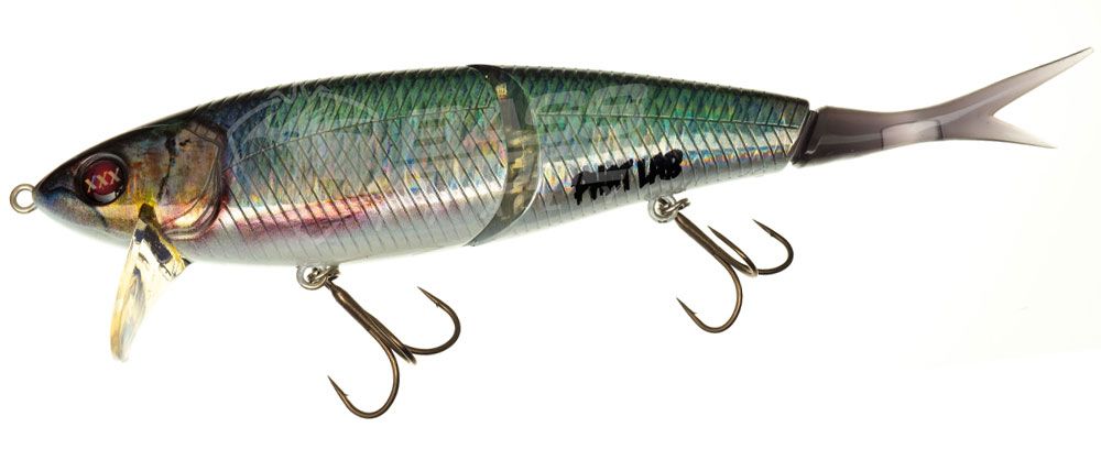 Immagine di Phat Lab Nekosogi XXX