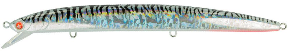 Bild von Seaspin Mommotti 160 SF