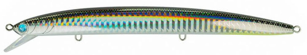 Bild von Seaspin Mommotti 160 SF