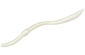 Imagen de Spro Freestyle Twitch Worm