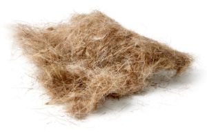 Immagine di JMC Pelo extra-corto di orecchio di lepre