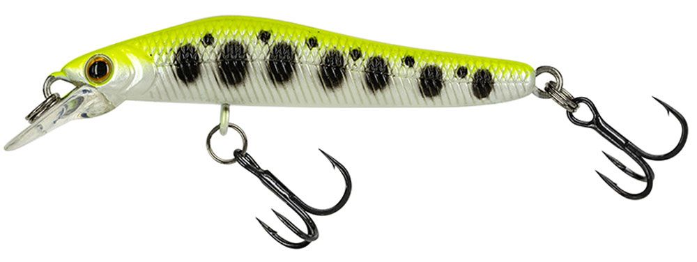 Immagine di Molix Jubarino 