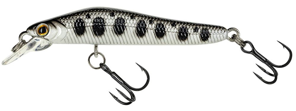 Immagine di Molix Jubarino 