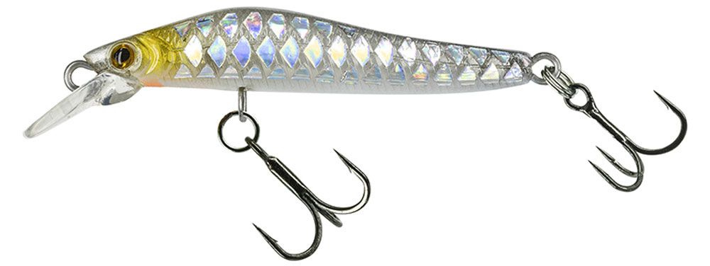 Immagine di Molix Jubarino 