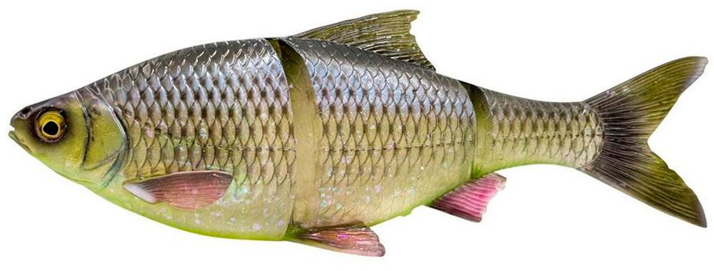 Immagine di Savage Gear 4D Line Thru Roach