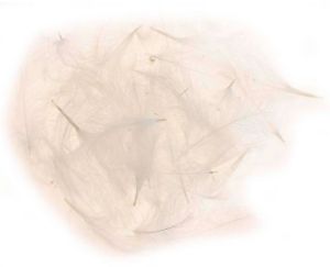 Picture of JMC Cul De Canard Feathers