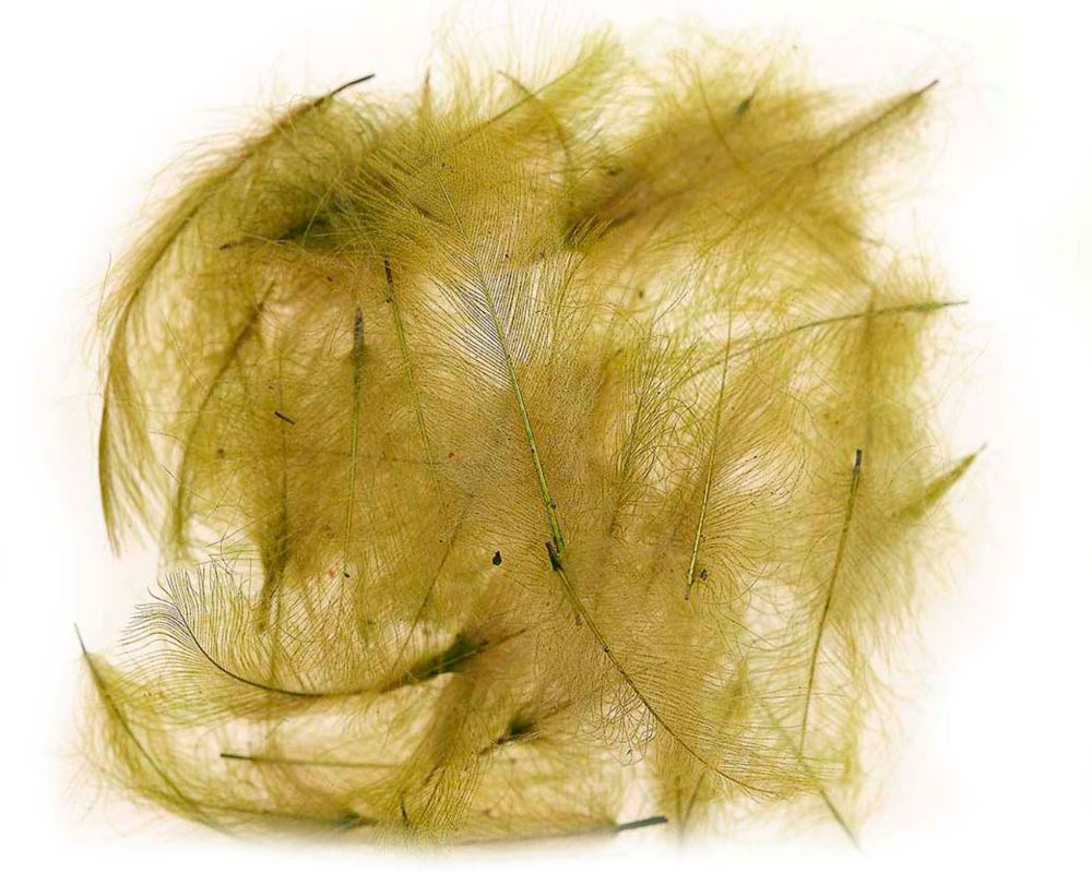 Picture of JMC Cul De Canard Feathers