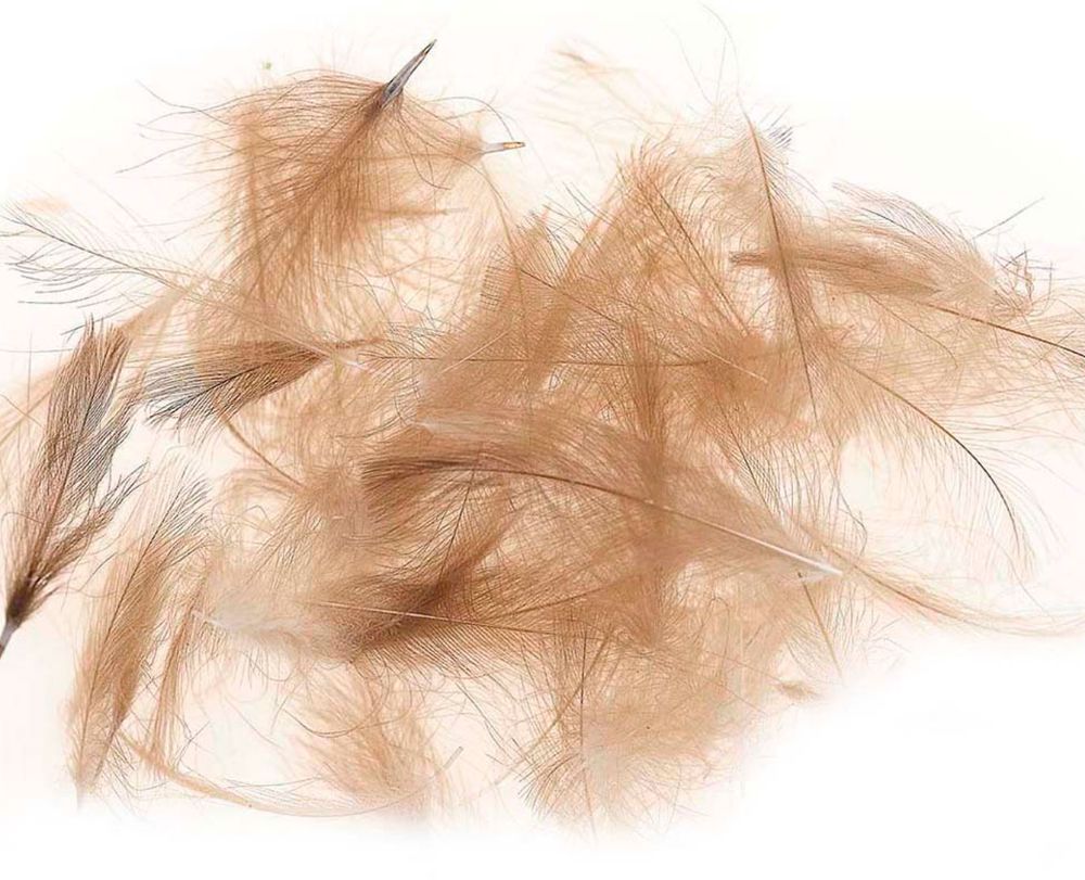 Picture of JMC Cul De Canard Feathers