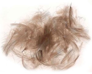 Picture of JMC Cul De Canard Feathers