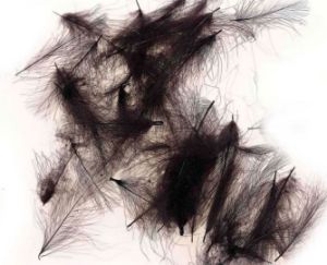 Picture of JMC Cul De Canard Feathers