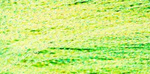 Immagine di Textreme Crystal Flash